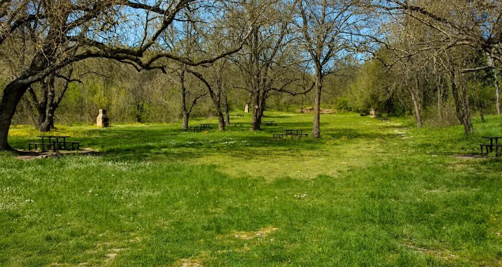 Forêt luxuriante et aire de pique-nique du parc Rosenets