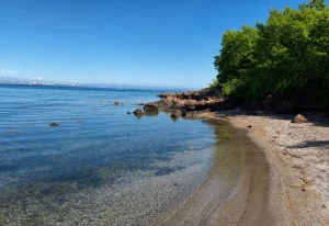Plage sauvage entourée par la nature du parc Rosenets