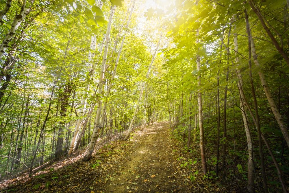 Praktische Tipps für Ihre Tour auf dem Öko-Wanderweg Alan Tepe