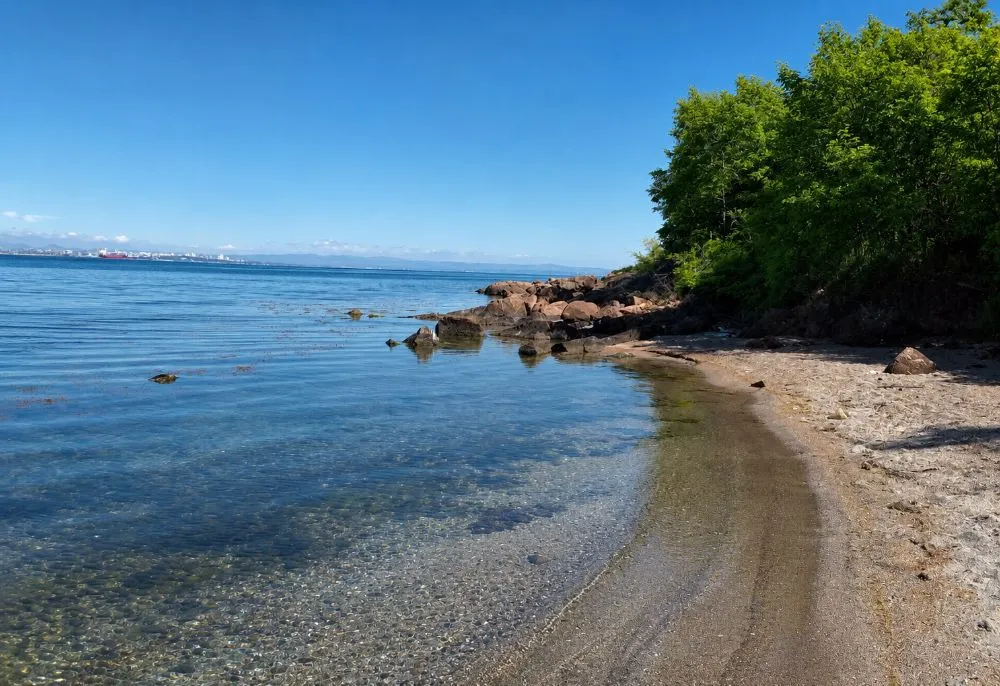 Wildstrand inmitten der Natur des Rosenets-Parks