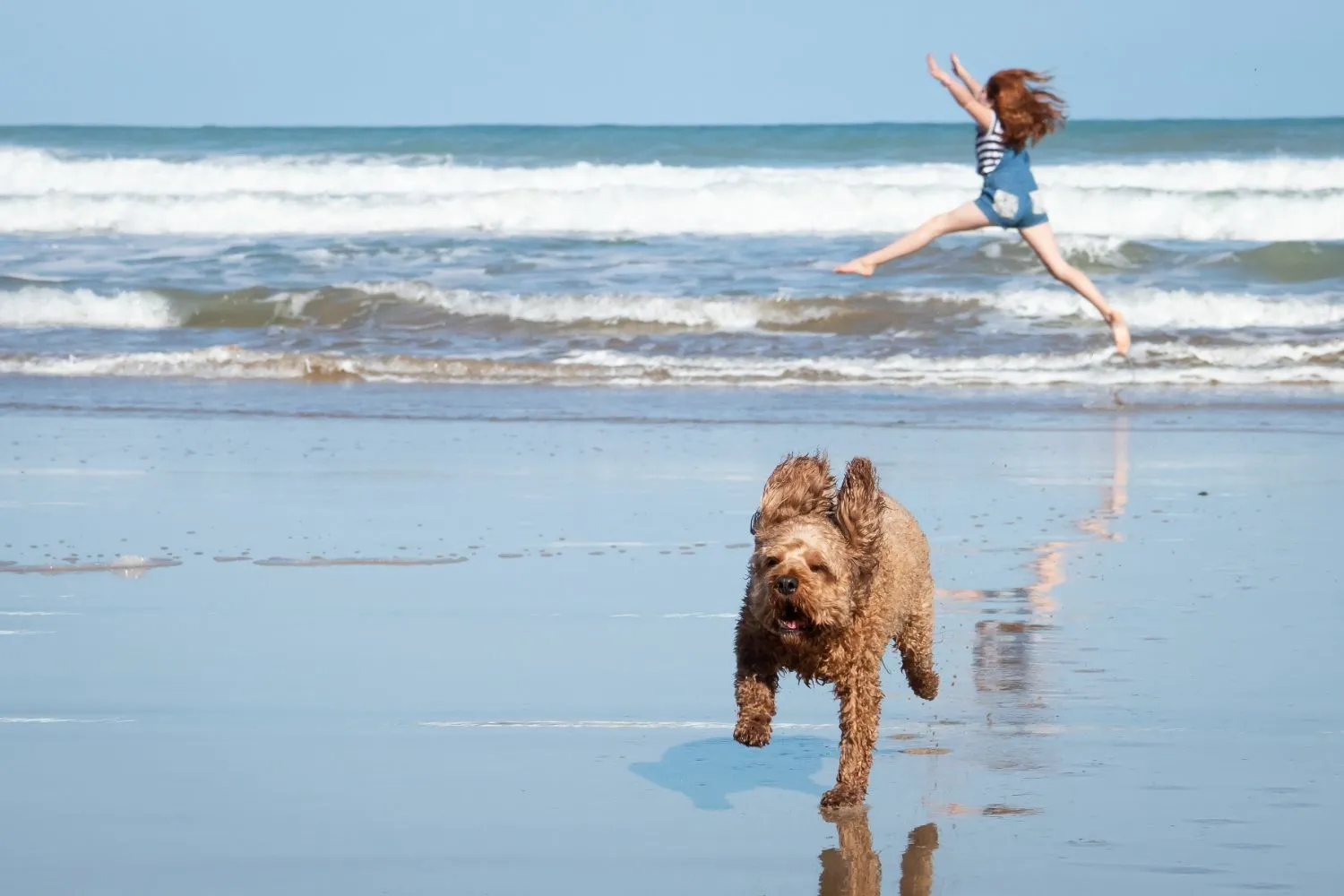 Black Sea beach day with your dog near Burgas and Kraimorie