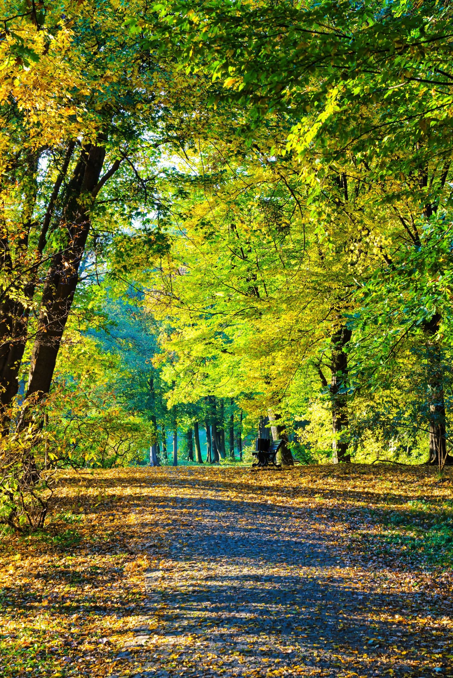 From beach to forest Discover the green side of Kraimorie
