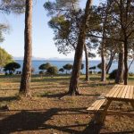 Ruhige Küstenlandschaft im Rosenets-Park bei Burgas