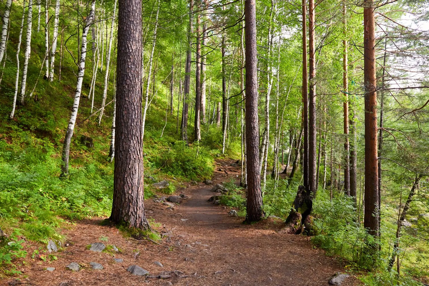 rosenets-park-green-recreation-area-south-of-burgas