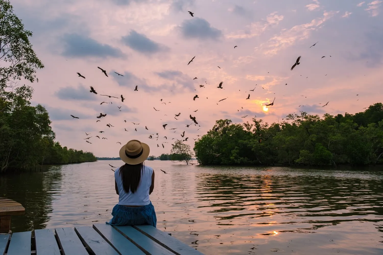 Observation des oiseaux migrateurs dans la nature lors d'une promenade automnale